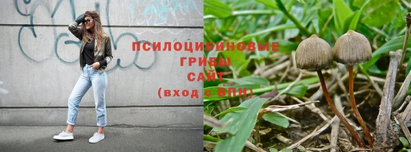эйфоретик Белоозёрский